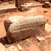 Salsa_9 Salsa_9