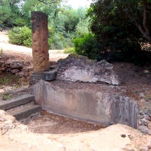 Tipasa_24 Tipasa_24