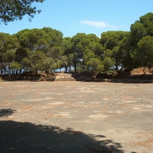 Tipasa_26 Tipasa_26