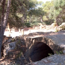 Tipasa_29 Tipasa_29