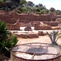 Tipasa_32 Tipasa_32