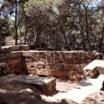 Tipasa_33 Tipasa_33