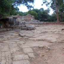 Tipasa_82 Tipasa_82