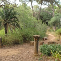 Tipasa_roman_ruins Tipasa_roman_ruins