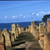 Tipaza.ruines_romaines Tipaza.ruines_romaines