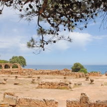 Tipaza_basilique Tipaza_basilique