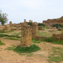 Tipasa (Algerie) Tipasa (Algerie)